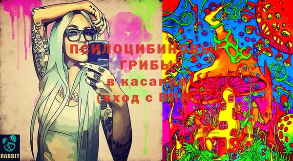 мет Мегион