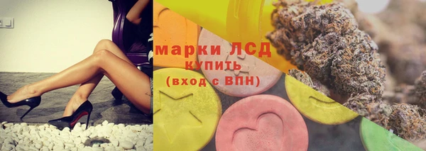 стаф Медвежьегорск