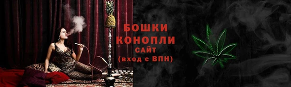 прущие грибы Апатиты